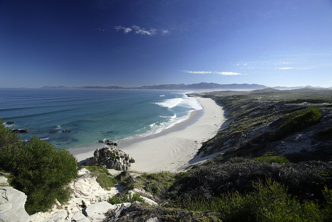 Walker Bay, Gansbaai, Western Cape, South Africa