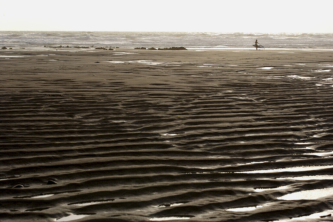 Windsurfer at beach, Cornwall, England, Great Britain