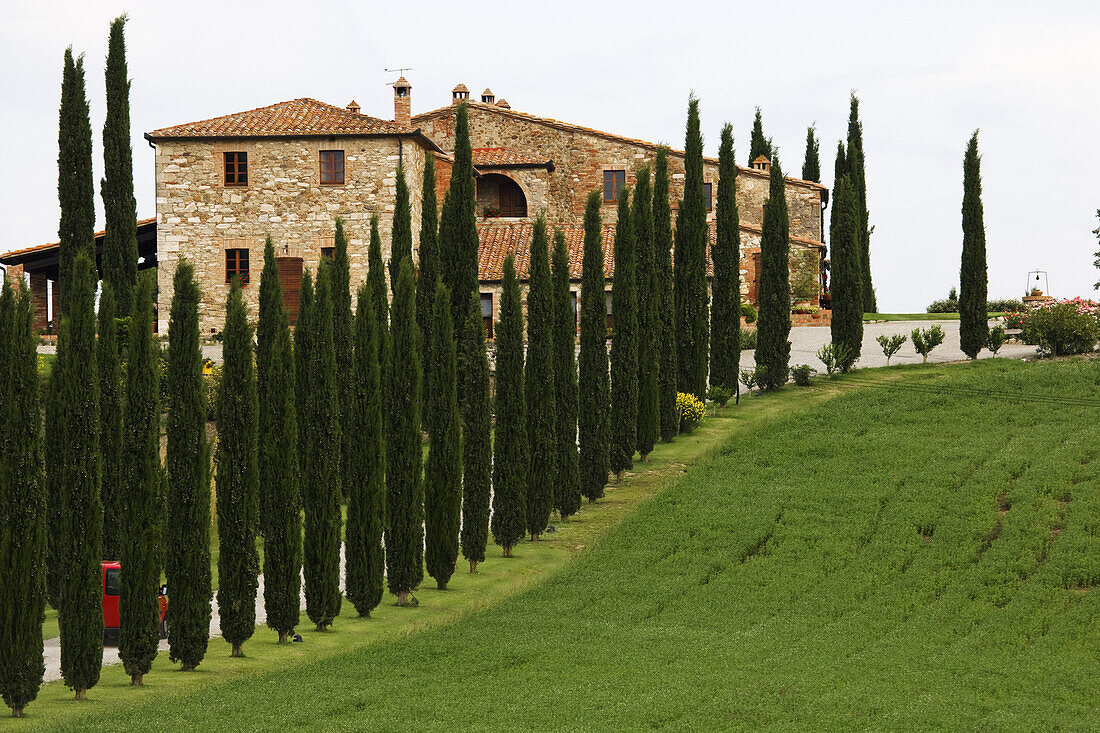 Zypressenallee und Bauernhof, San Quirico d'Orcia, Toskana, Italien