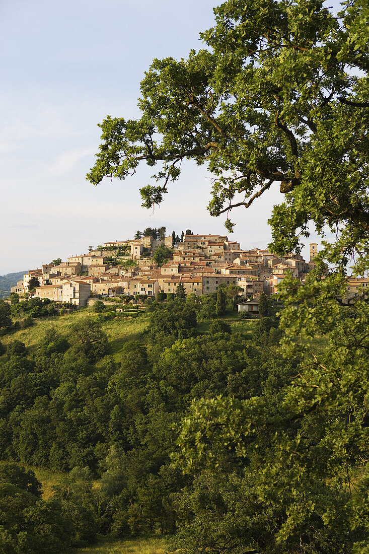 Semproniano, (near Saturnia), Maremma, Tuscany, Italy