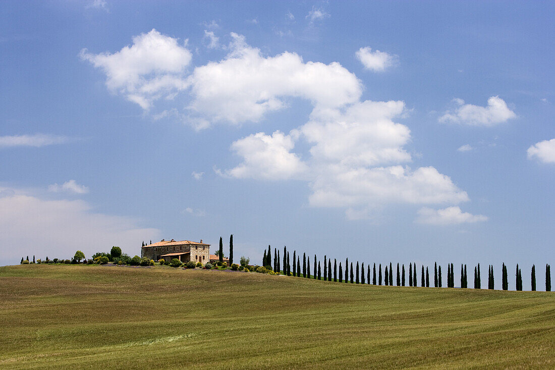 Zypressenallee und Bauernhof, San Quirico d'Orcia, Toskana, Italien