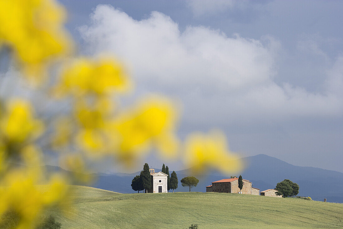 Cappella di Vitaleta und Bauernhof, San Quirico d'Orcia, Tuscany, Italy