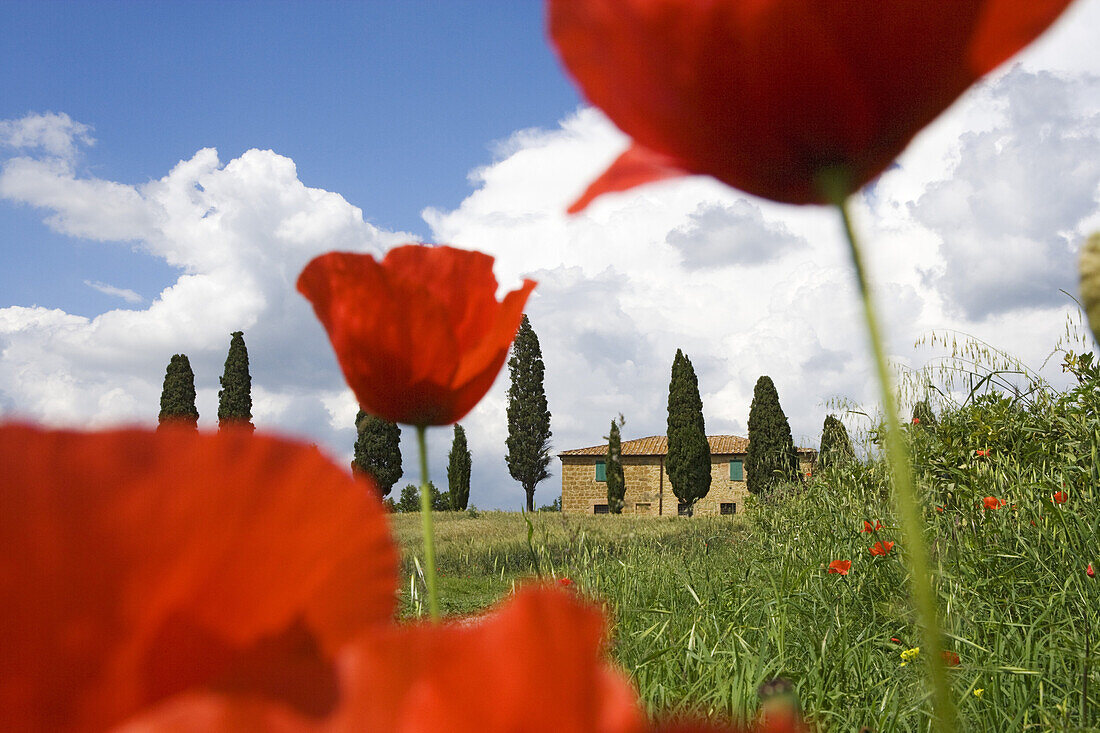 Landhaus in Pienza, Toskana, Italien