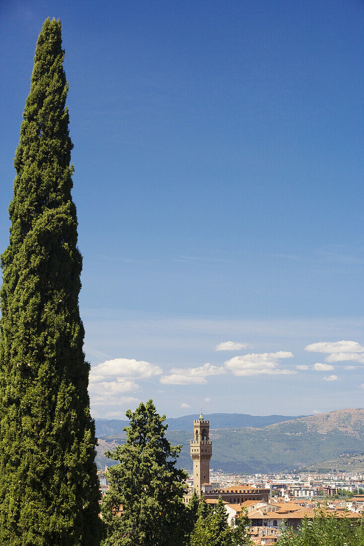 View from Piazza Michelangelo over Florence and Palazzo Vecchio, Florence, Tuscany, Italy