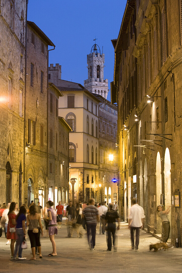 Via Banchi di Sopra mit  der Spitze des Rathausturms, Siena, Toskana, Italien