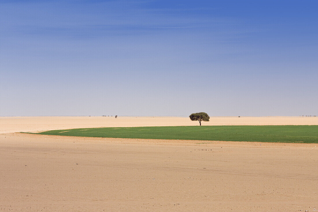 Irrigation project in the libyan desert, Libya, Sahara, North Africa