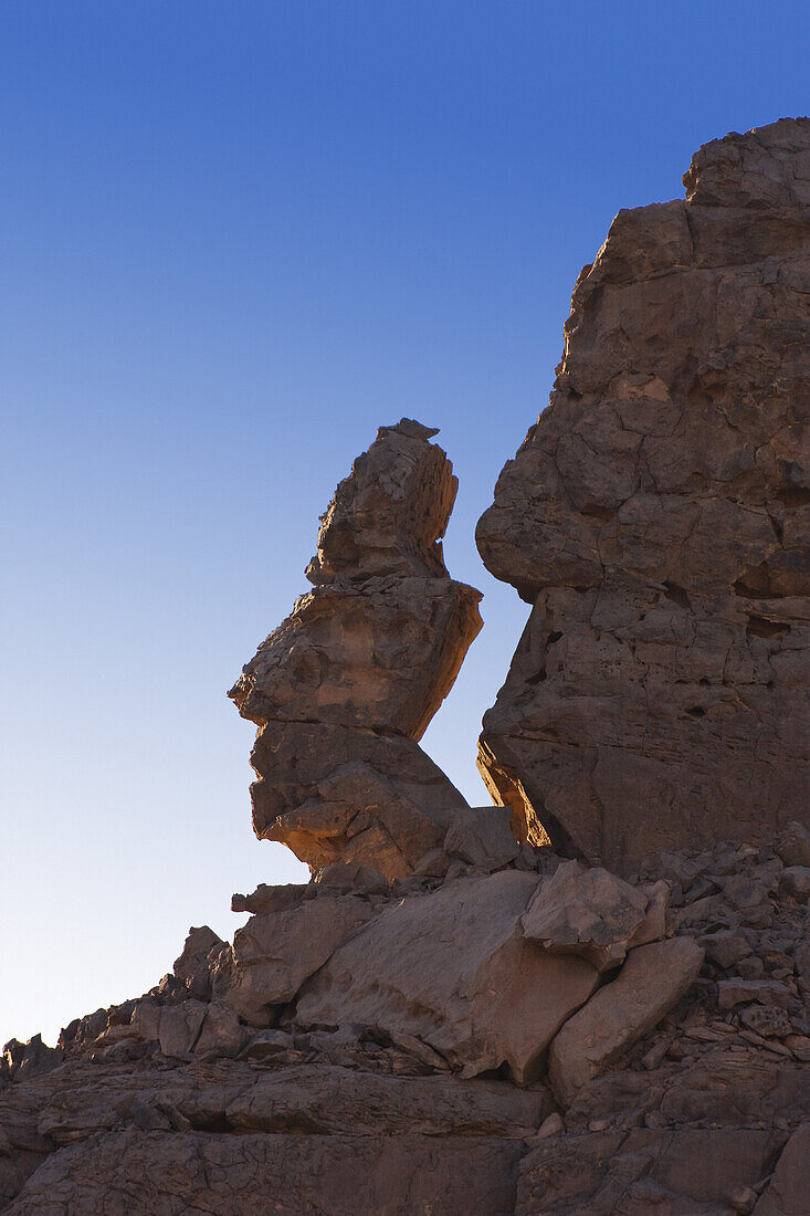 Stone formations in the libyan Desert, head, Wadi Bahoha, Akakus mountains, Libya, Sahara, Africa