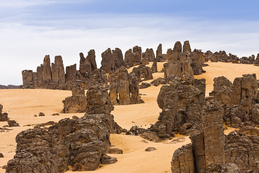 stony desert, Tassili Maridet, Libya, Sahara, North Africa