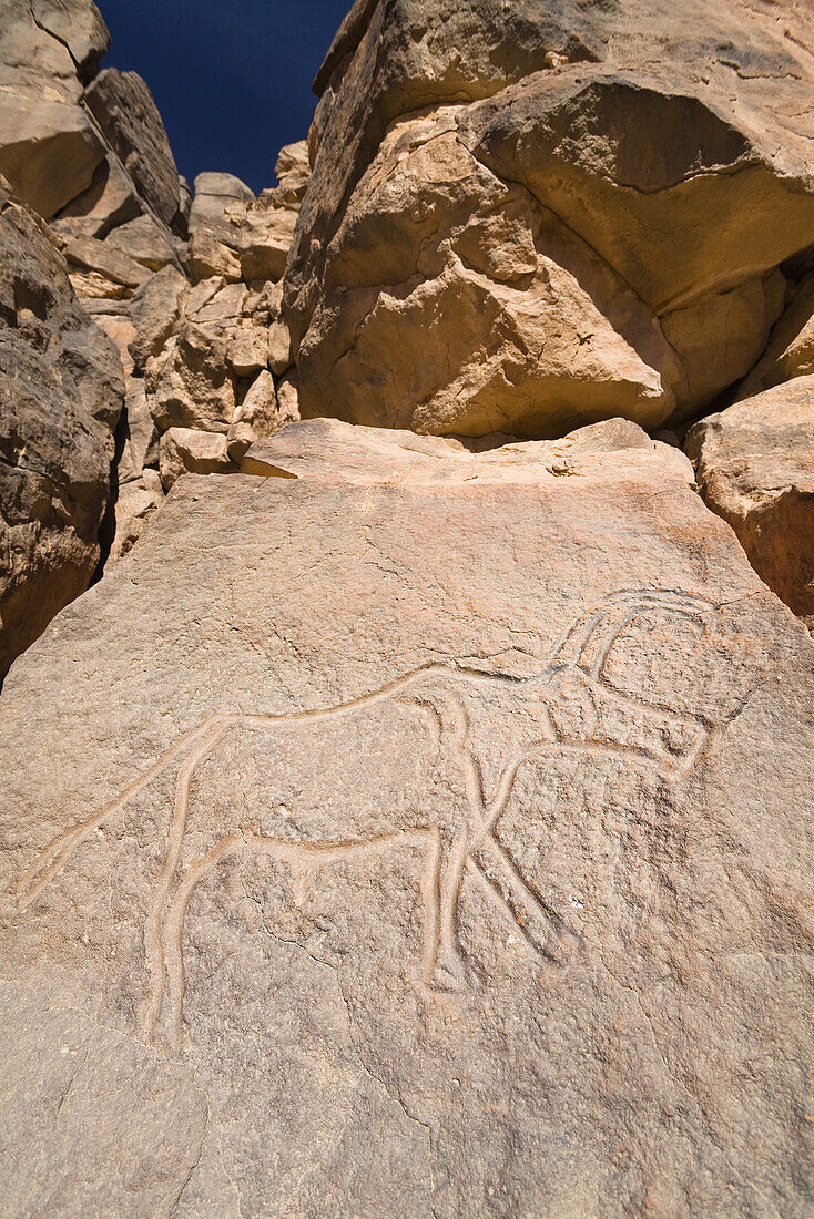 Steingravur einer Antilope im Wadi Mathendous, Wadi Barjuj, Steinwüste, Libyen, Sahara, Afrika