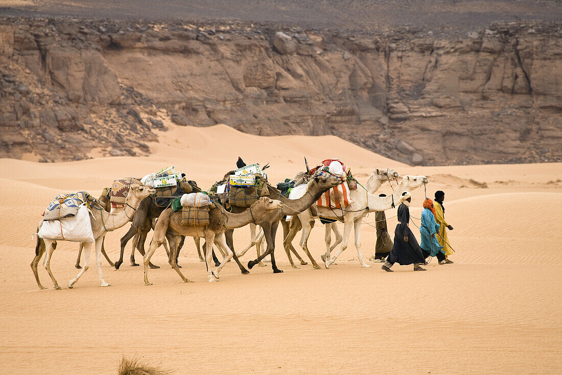 Kamel Karawane in der libyschen Wüste, Dromedare, Camelus dromedarius, Akakus Gebirge, Libyen, Sahara, Nordafrika