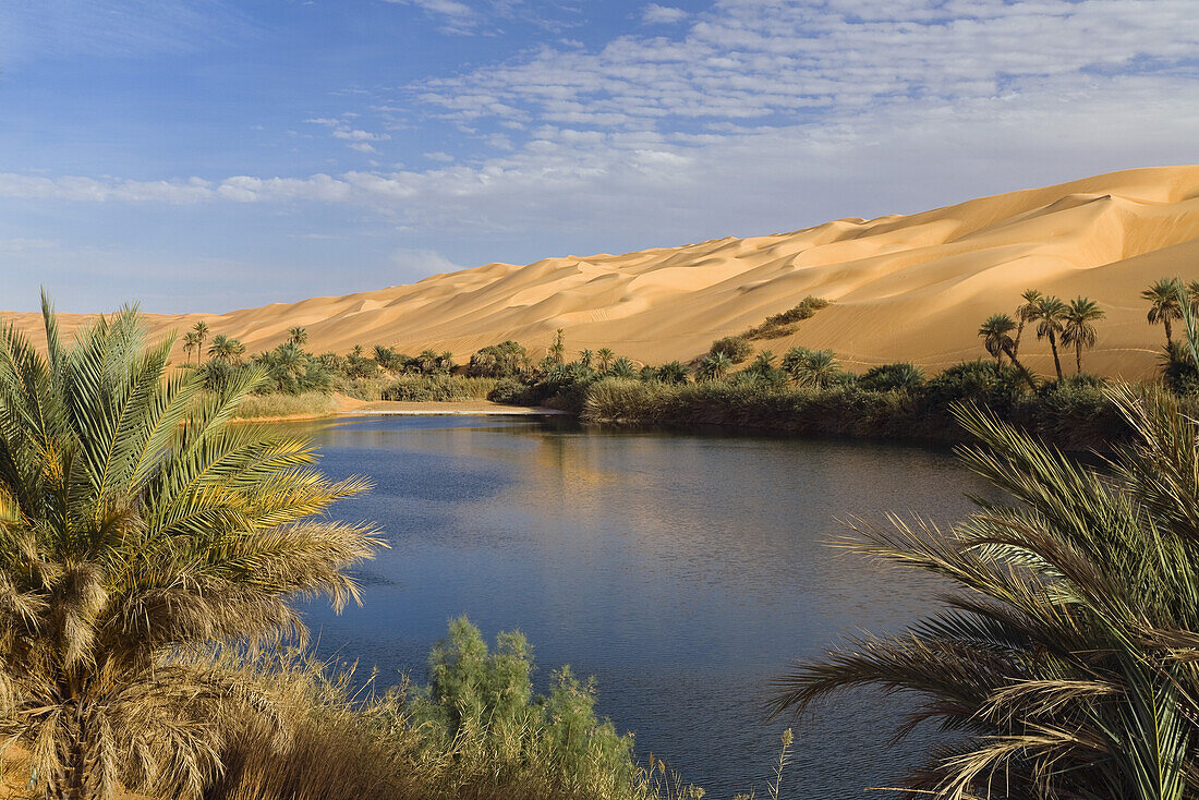 Mandara Lakes in the dunes of Ubari, oasis Um el Ma, libyan desert, Libya, Sahara, North Africa