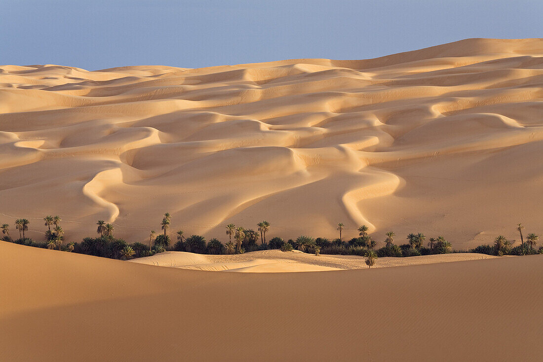 Oase Um el Ma und Sanddünen, libysche Wüste, Libyen, Sahara, Afrika