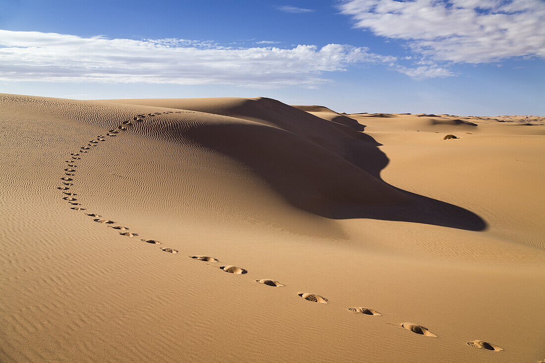 Fußspuren in der libyschen Wüste, Libyen, Afrika