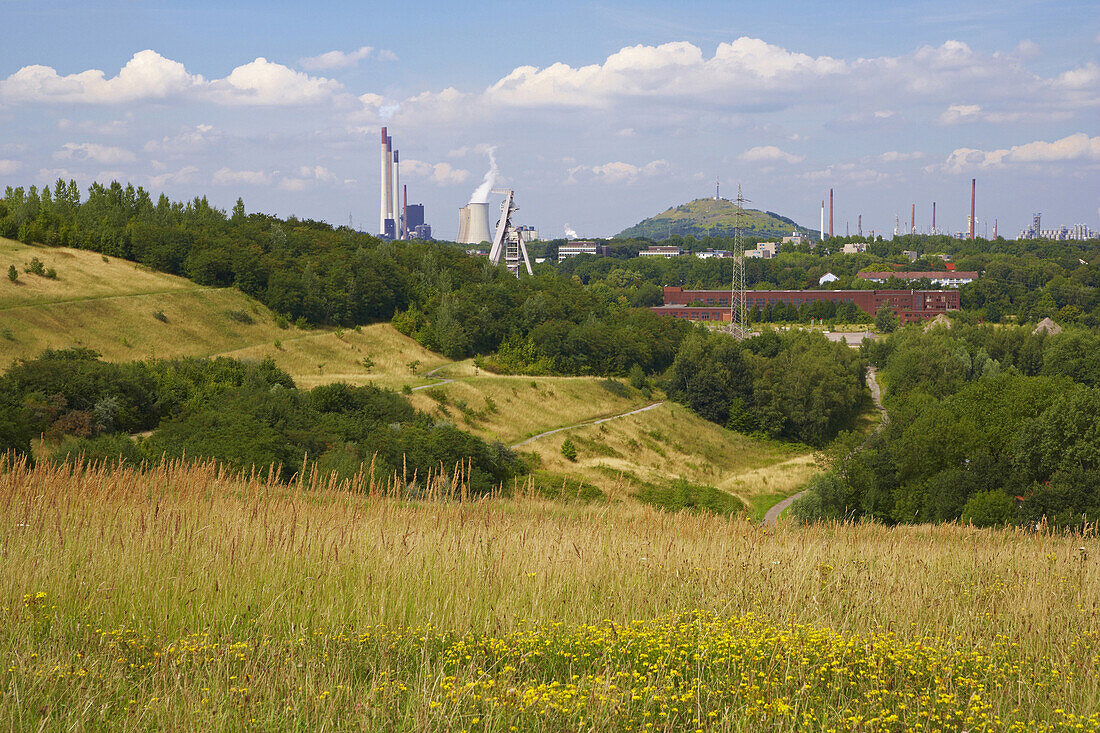 Halde Rungenberg, Gelsenkirchen-Buer, Nordrhein-Westfalen, Deutschland