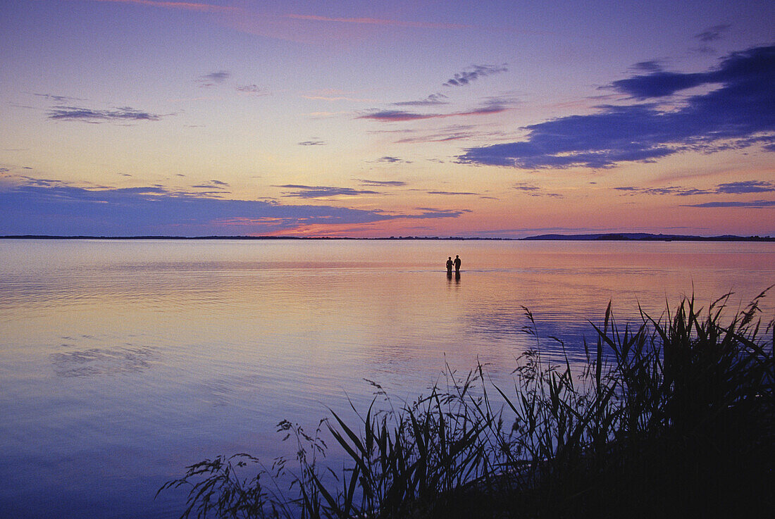 Abendstimmung am Schaproder Bodden, Insel Rügen, Mecklenburg-Vorpommern, Deutschland