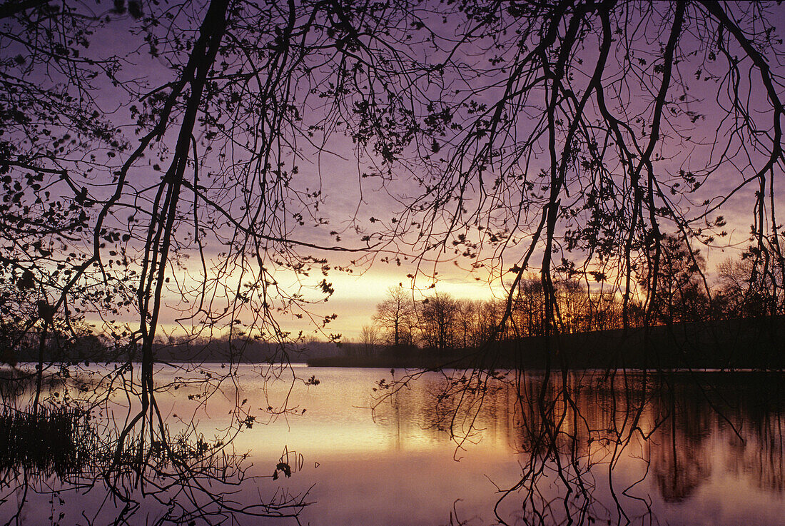 Morgenrot am Flachen See, bei Klocksin, Mecklenburger Seenplatte, Mecklenburg-Vorpommern, Deutschland