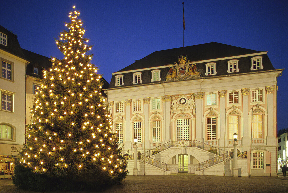 Weihnachtlicher Tannenbaum vor dem Rathaus, Bonn, Nordrhein-Westfalen, Deutschland