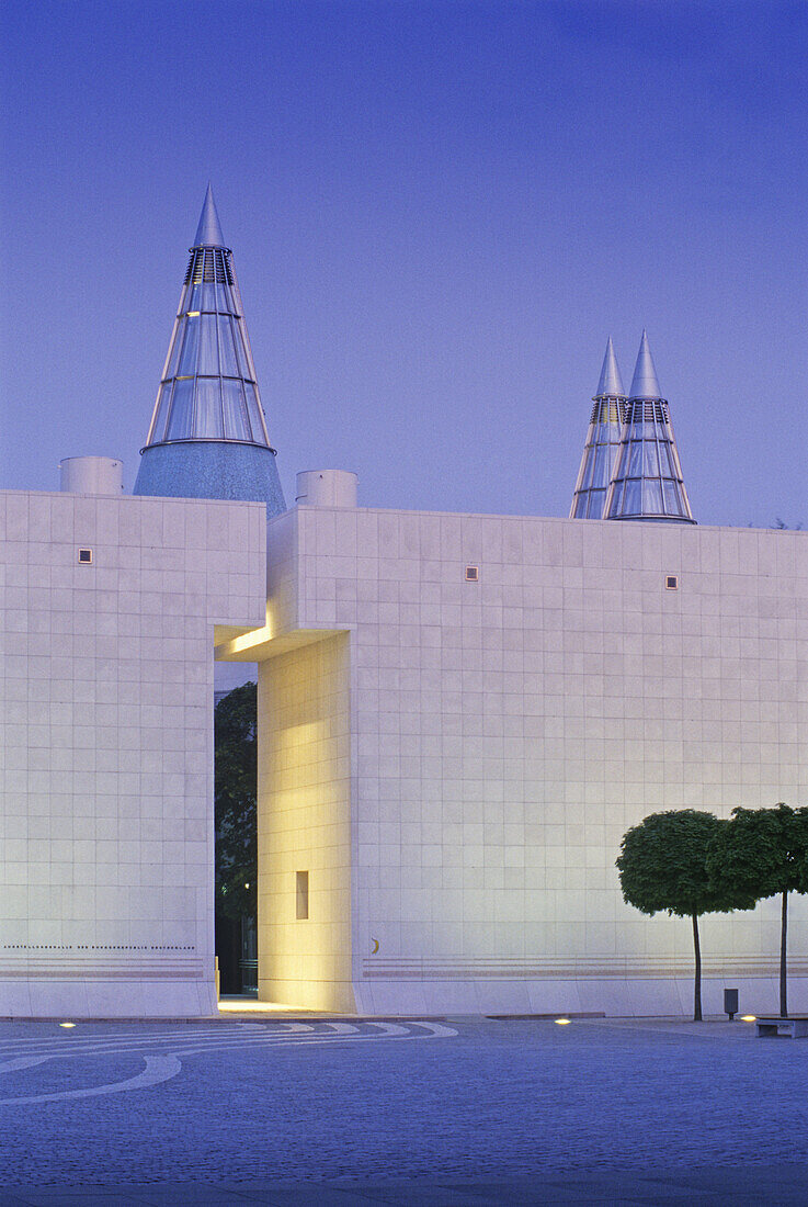 Art and Exhibition Hall of the Federal Republic of Germany, Bonn, Rhine river, North Rhine-Westphalia, Germany