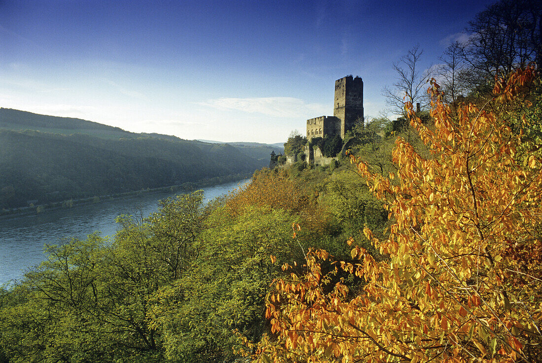 Gutenfels castle near Kaub, Rhine river, Rhineland-Palatinate, Germany