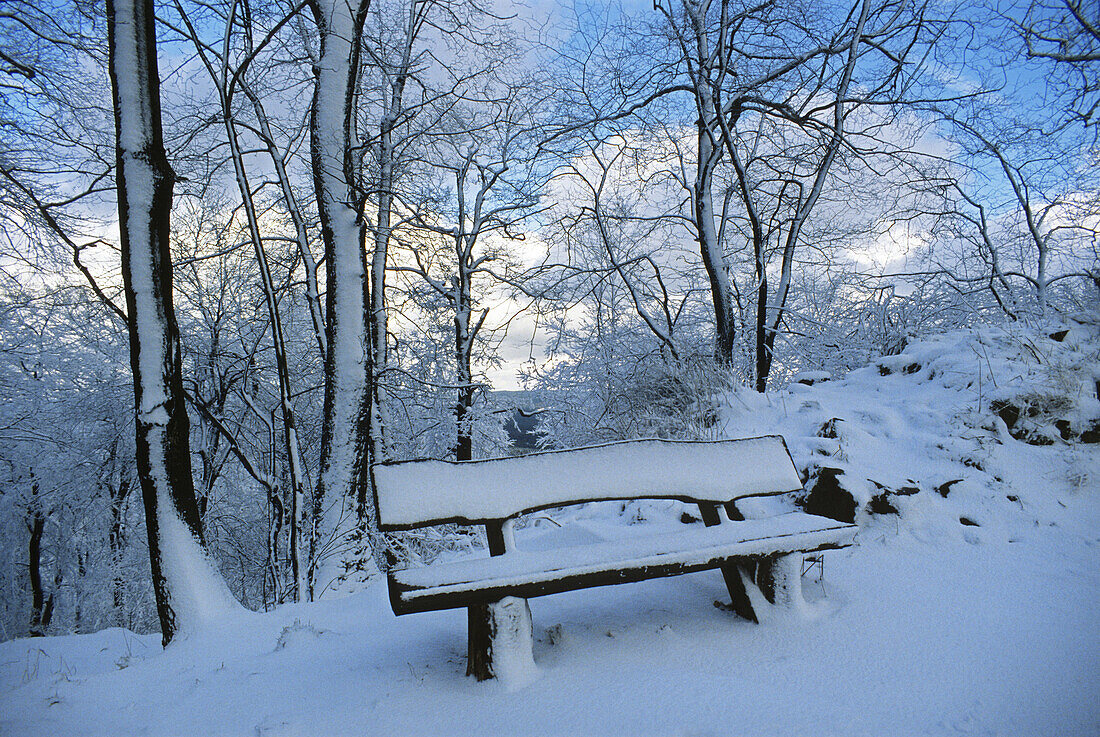 Snow covered bench at Hohe Acht Mountain, near Adenau, Eifel, Rhineland-Palatinate, Germany