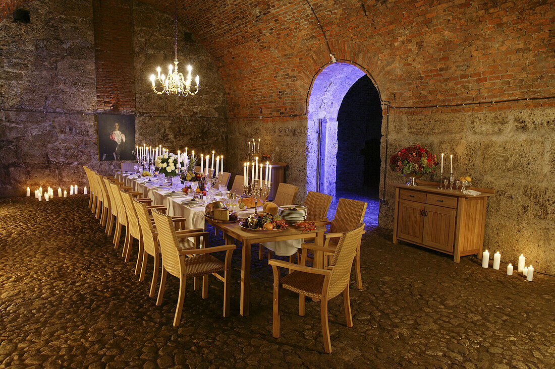 Festively set table in cellar vault, Bavaria, Germany