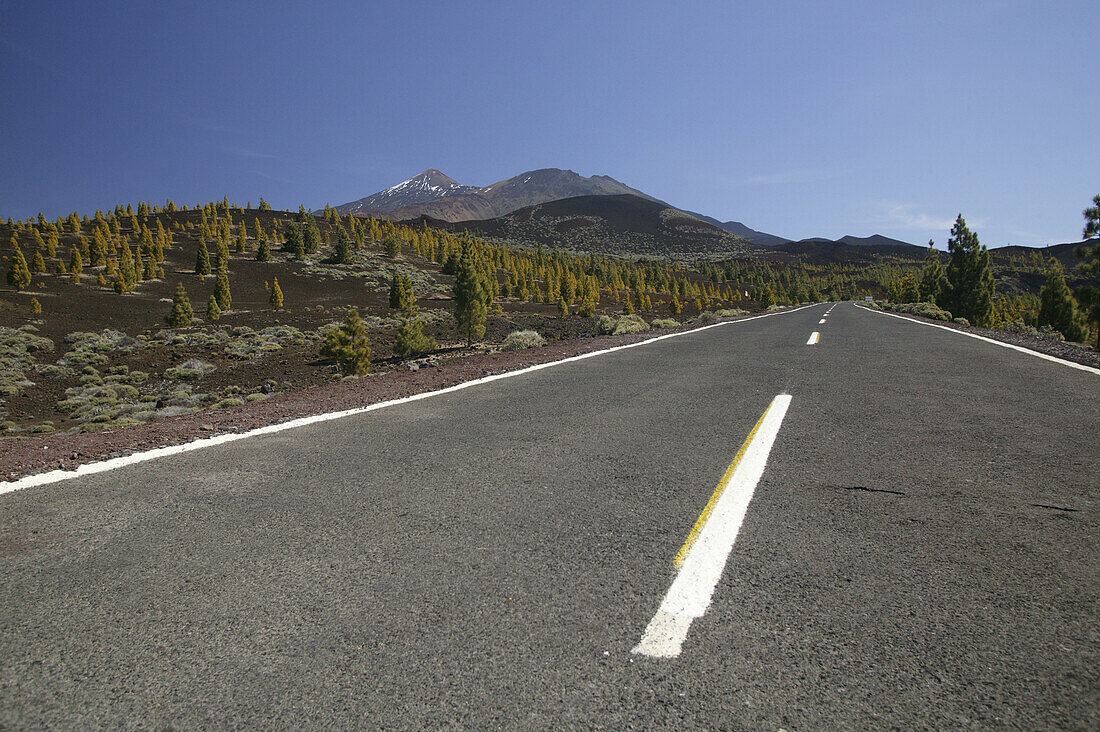 Straße zum Teide, Teneriffa, Kanarische Inseln, Spanien