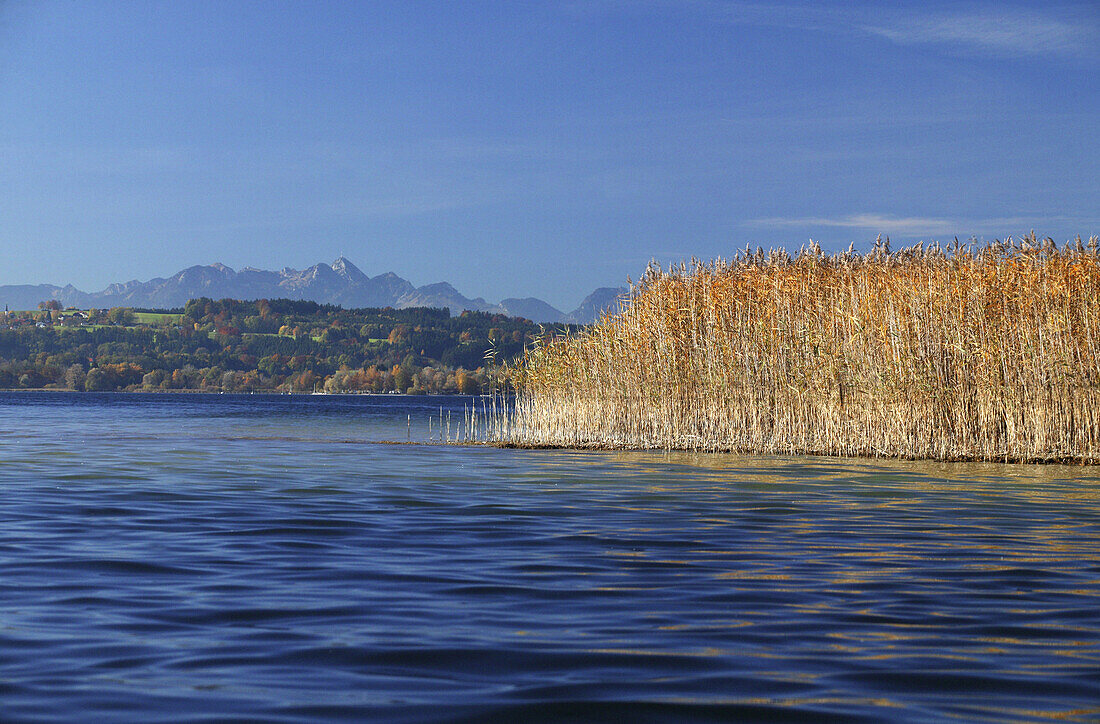 View across the lake from Herrenchiemsee, Wendelstein Mountain range in the background, Lake Chiemsee, Chiemgau, Bavaria, Germany