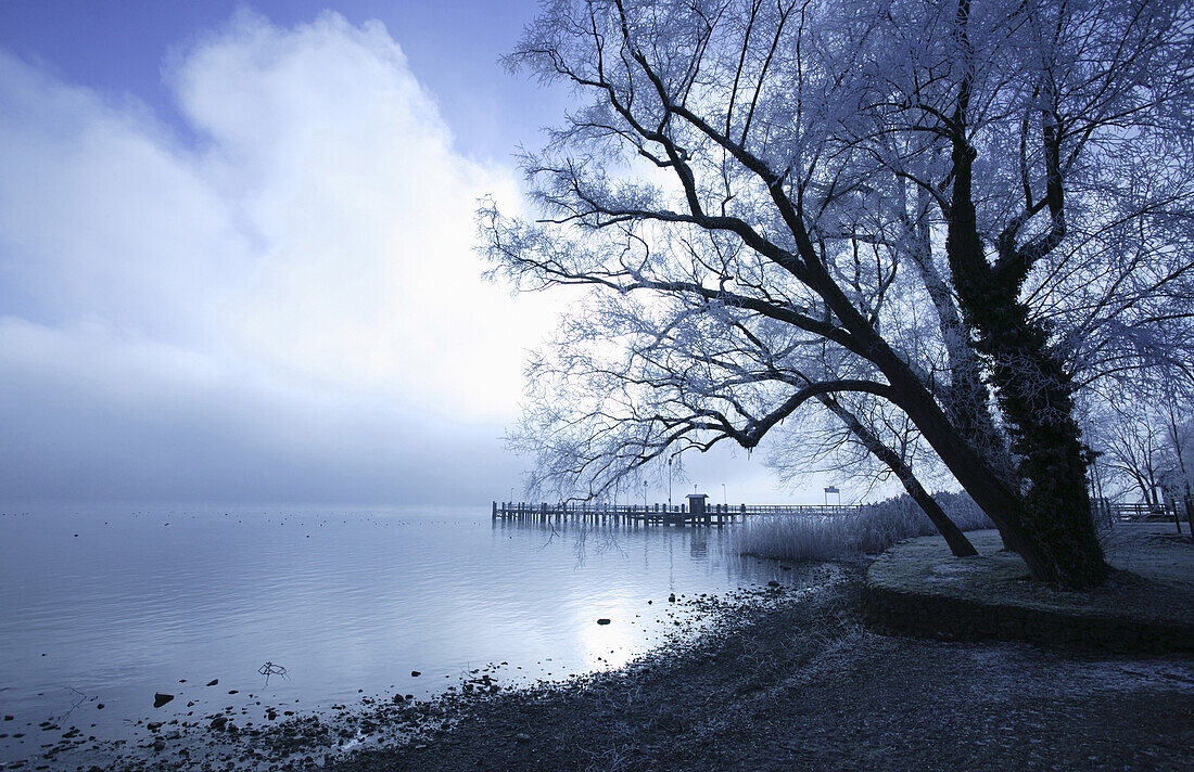 Winter scenery on Fraueninsel, Lake Chiemsee, Chiemgau, Bavaria, Germany