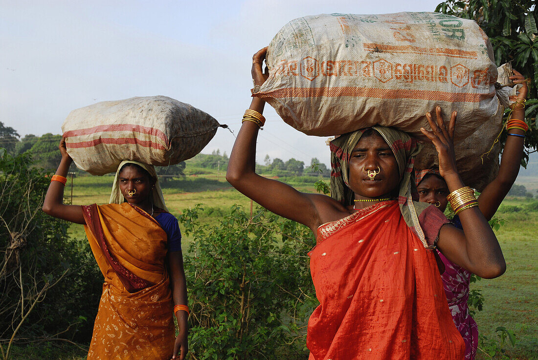 Frauen des Mali Stammes auf dem Weg zum Markt, Stammes Region bei Koraput im Süden Orissas, Indien, Asien