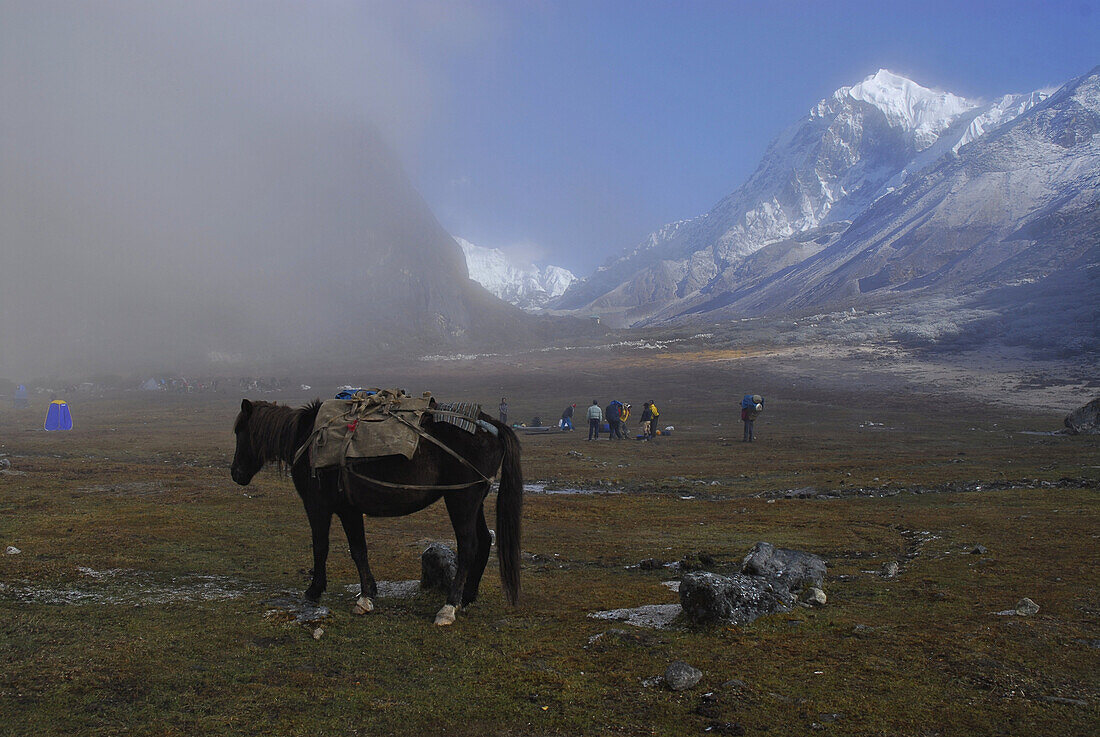 Lagerplatz in Thangsing mit Mount Pandim am Trek zum Gocha La in der Kangchendzönga Region, Sikkim, Himalaya, Nord Indien, Asien