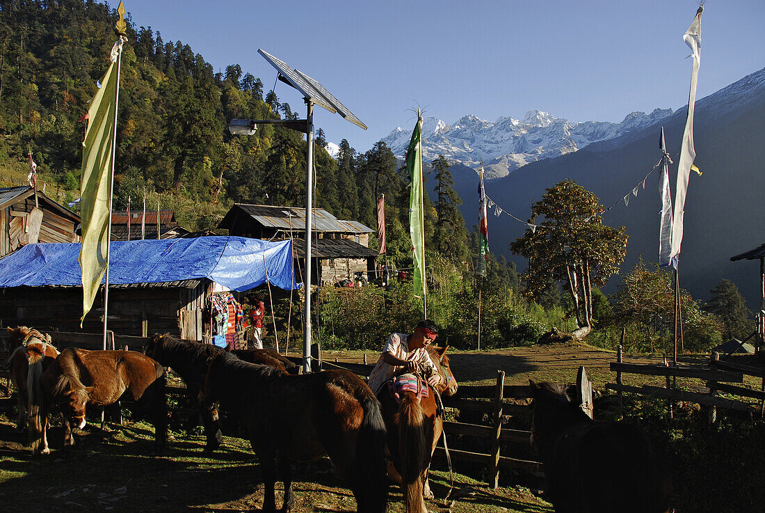 Das Dorf Tshoka am Trek zum Gocha La in der Kanchendzönga Region, Sikkim, Himalaja, Nord Indien, Asien