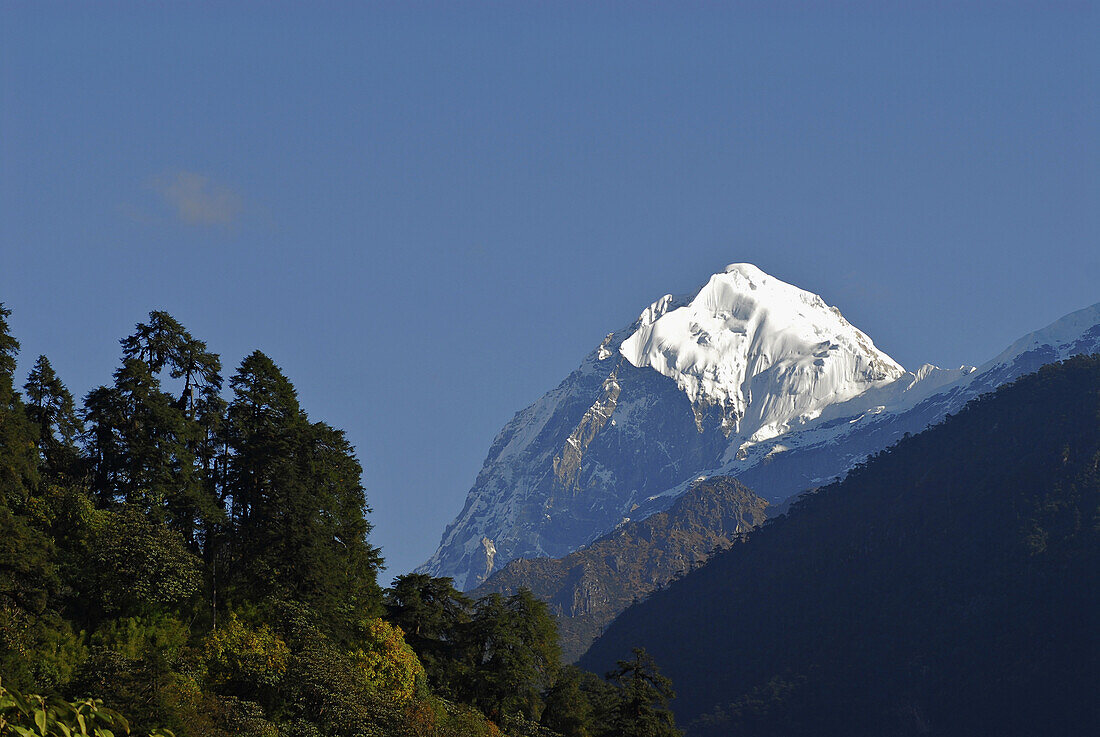 View at Mount Pandim in the sunlight, Trek towards Gocha La in Kangchenjunga region, Sikkim, Himalaya, Northern India, Asia