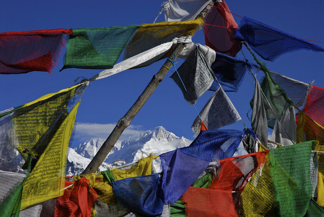 Colourful prayer flags in front of blue sky at Dzongri La, Trek towards Gocha La in Kangchenjunga region, Sikkim, Himalaya, Northern India, Asia