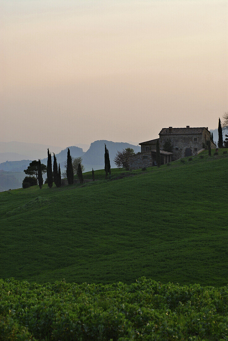 Landschaft mit Zypressen und grünen Hügeln im Frühjahr in der Morgendämmerung, Toskana, Italien, Europa