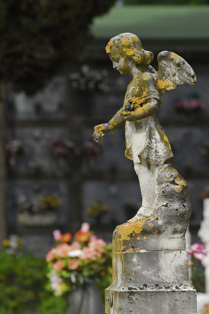 Engel auf Grab, Friedhof in der Tuffstein Stadt Pitigliano, Grosseto Region, Toskana, Italien, Europa