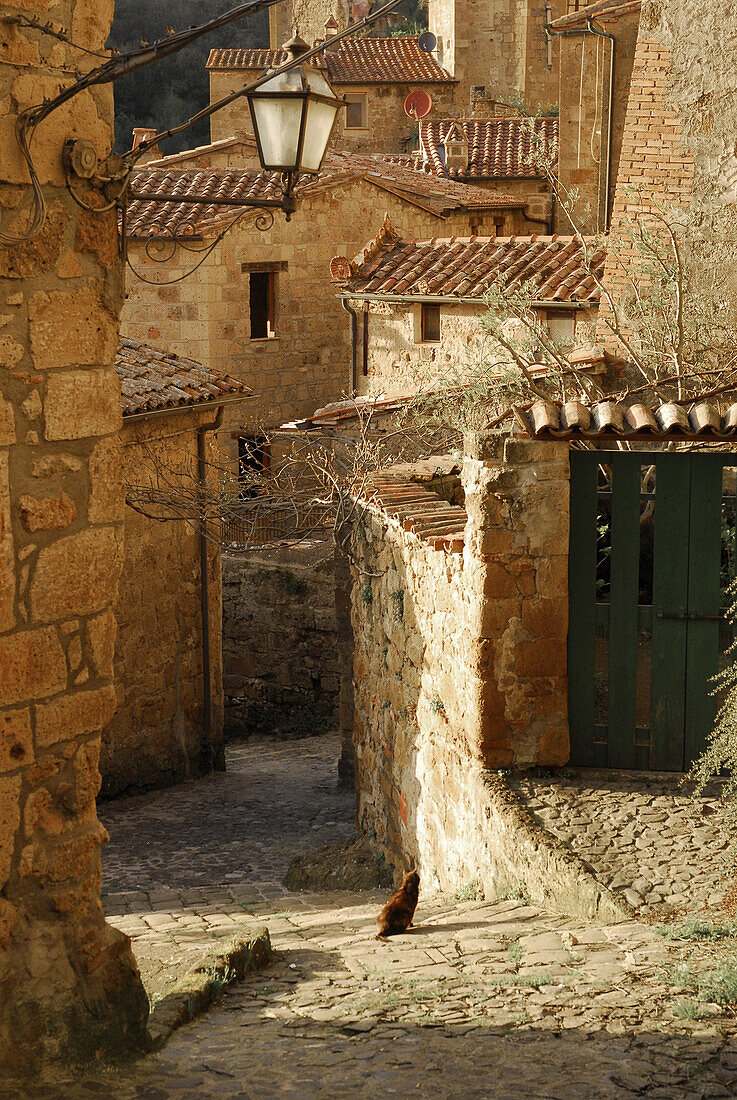 Alley and houses at trass city Sorano, Grosseto Region, Tuscany, Italy, Europe