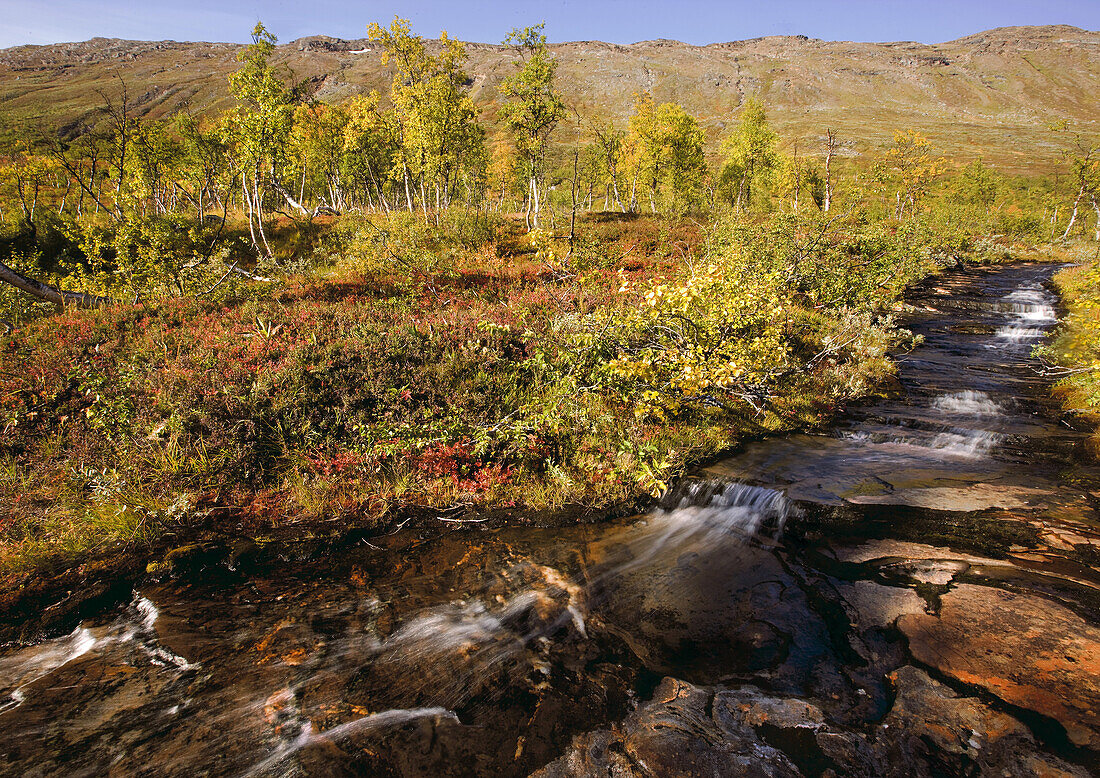 Fluß im Storengdalen im Herbst, Sjurfjellet Saltar, Norwegen, Skandinavien, Europa