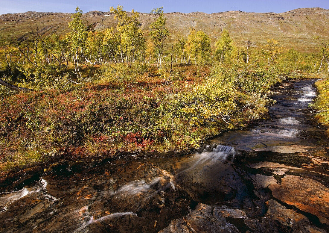 River in the Storengdalen in autumn, Surfjellet Saltar, Norway, Scandinavia, Europe
