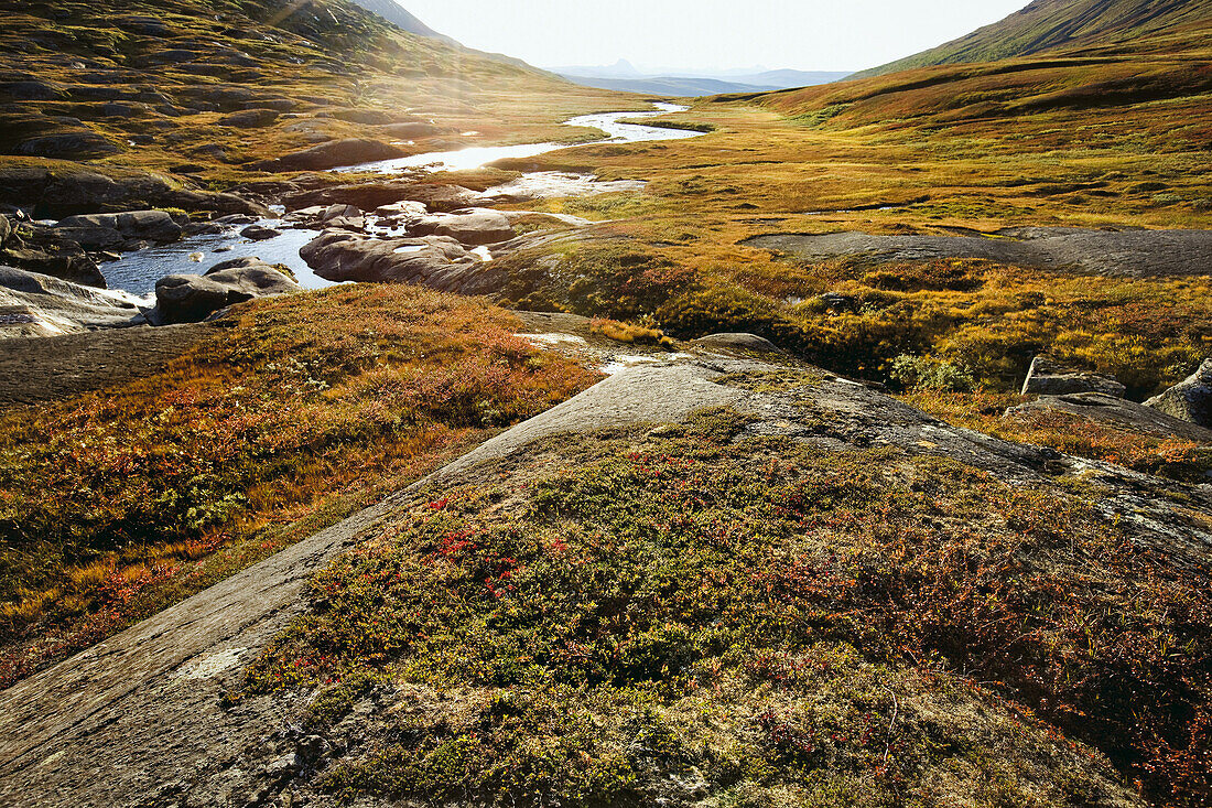 Flusslandschaft im Storengdalen im Herbst, Sjurfjellet Saltar, Norwegen, Skandinavien, Europa