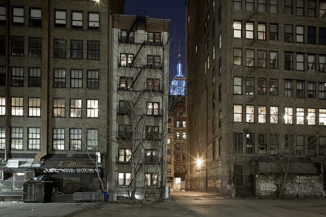 Backyards with view towards Empire State Building, New York City, New York, North America, USA