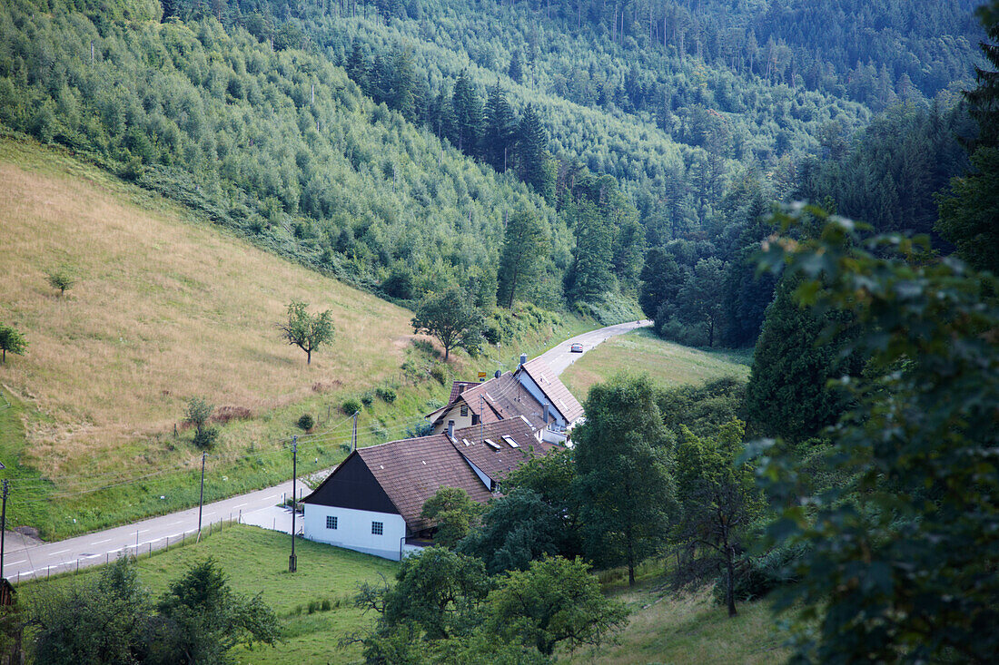 View over a valley, northern Black Forest, Baden-Wuerttemberg, Germany