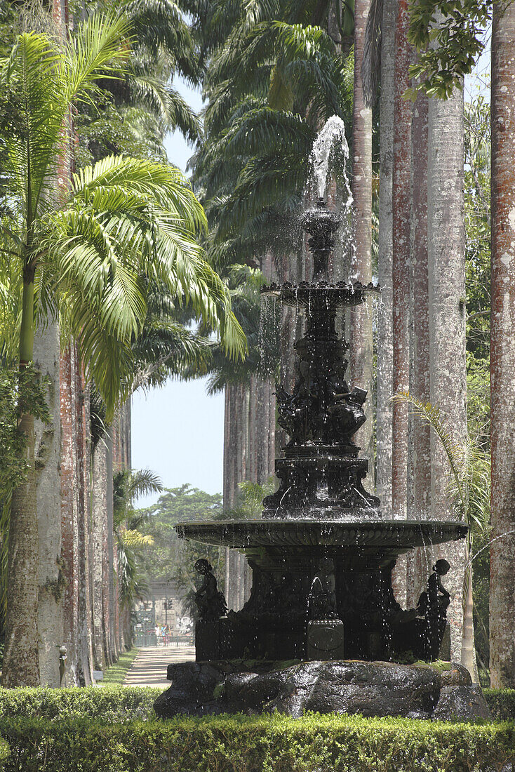 Fountain in Jardim Botanico, Botanical Garden, tropical park in Rio de Janeiro, Brazil