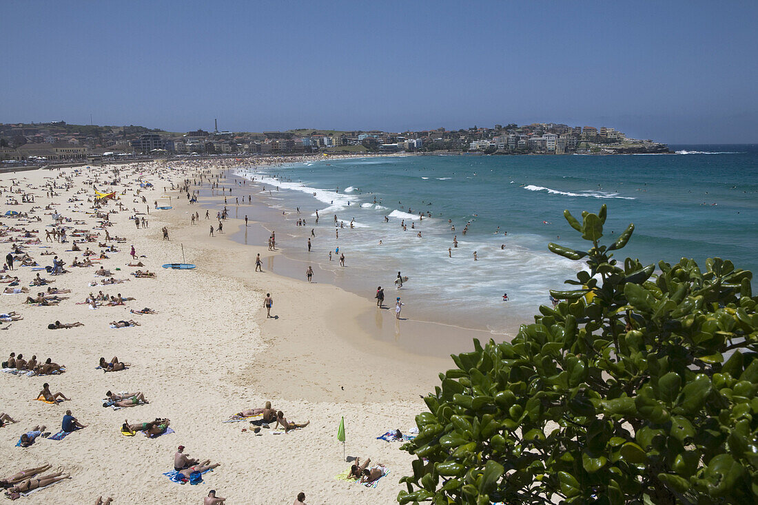 Bondi Beach, Waverley Council, Sydney, New South Wales, Australia