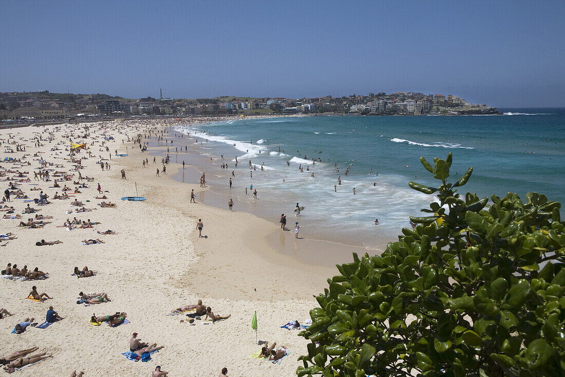 Strand von Bondi Beach, Waverley Council, Sydney, New South Wales, Australien