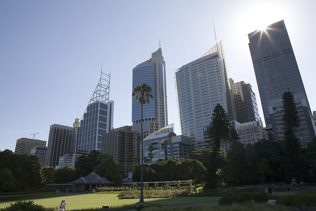 Königlicher Botanischer Garten, Park in der Innenstadt von Sydney, New South Wales, Australien