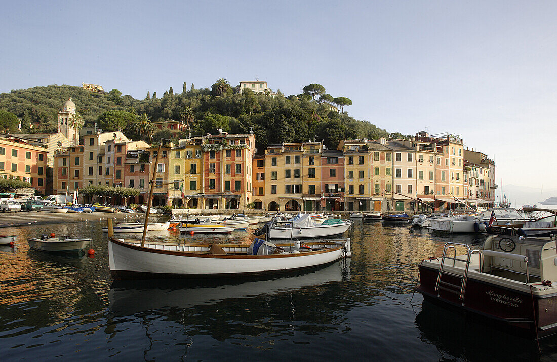 View at boats at harbour, Portofino, Liguria, Italy, Europe