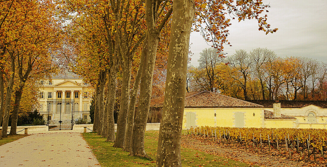 Chateau Margaux wine estate, Medoc region, Gironde, Aquitaine, France