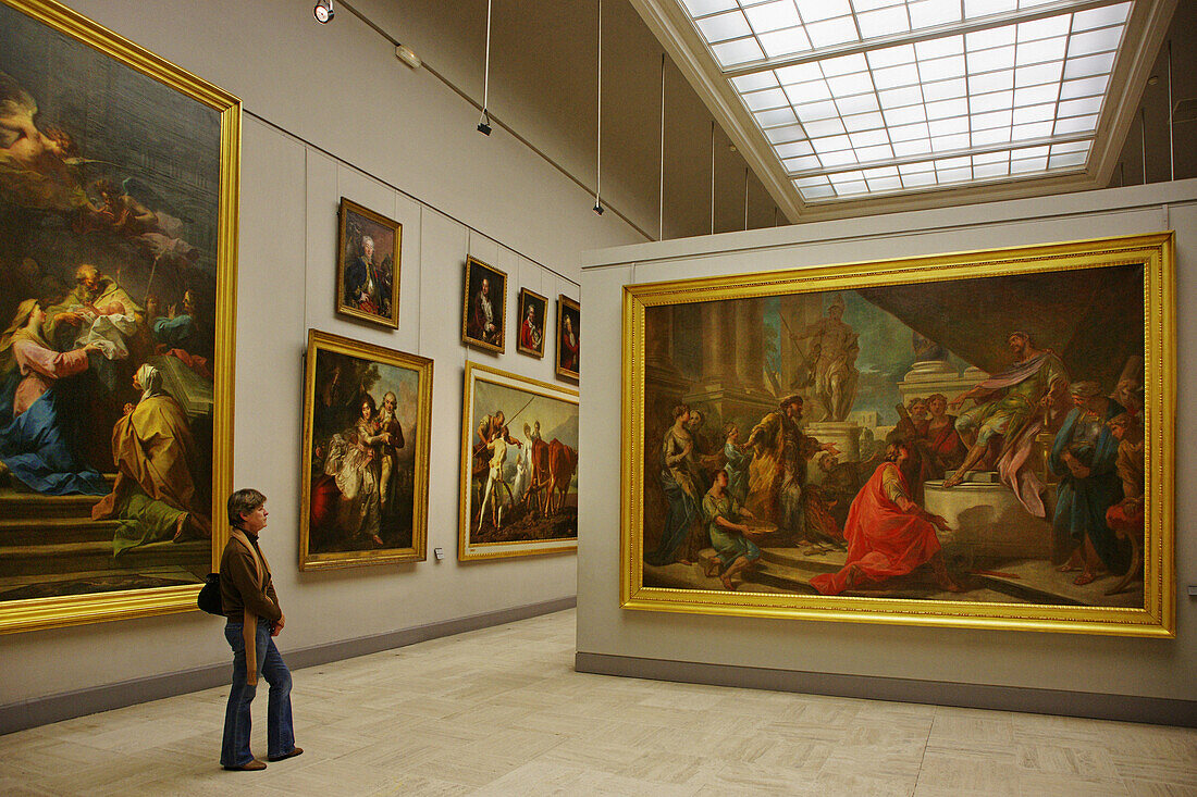 Permanent collection at the Musée des Beaux Arts  Fine Arts Museum), Bordeaux. Gironde, Aquitaine, France