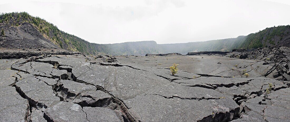 Kilauea Iki  Hawaii Volcanoes Nat  Park Big Island, Hawaii  USA