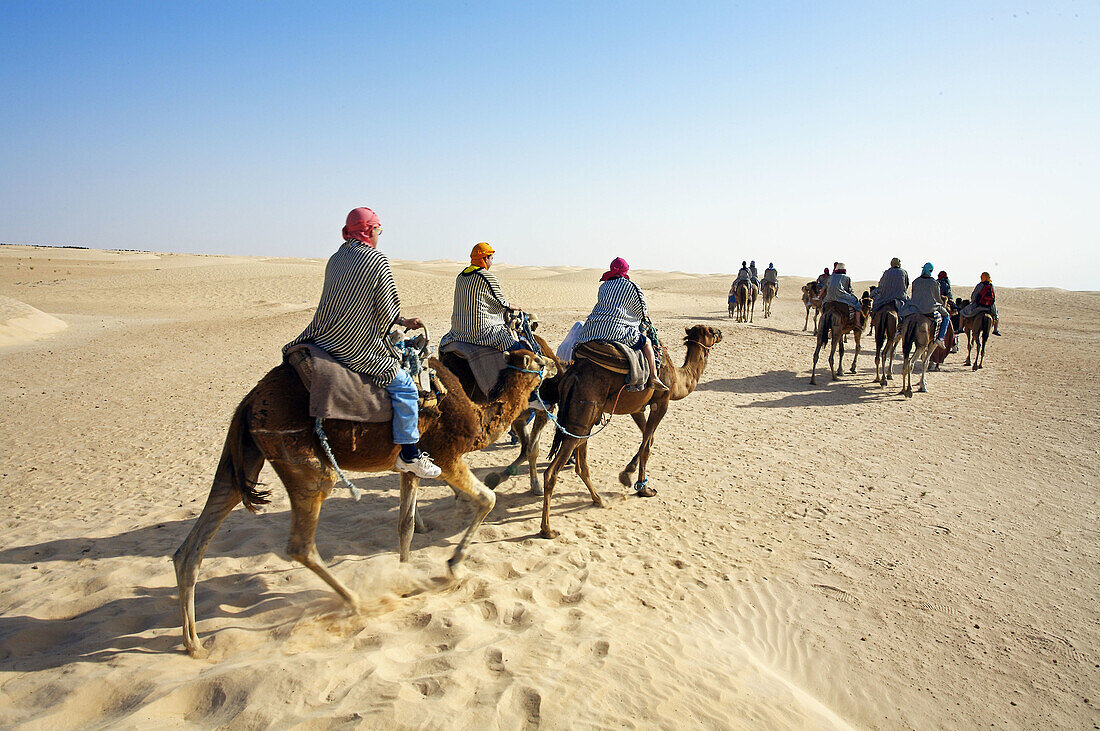 Tourists riding camels, Sahara Desert, Douz, Tunisia